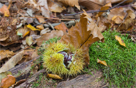 免费ddos在线攻击测试网站