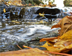 一键解决问题的DDOS压力测试